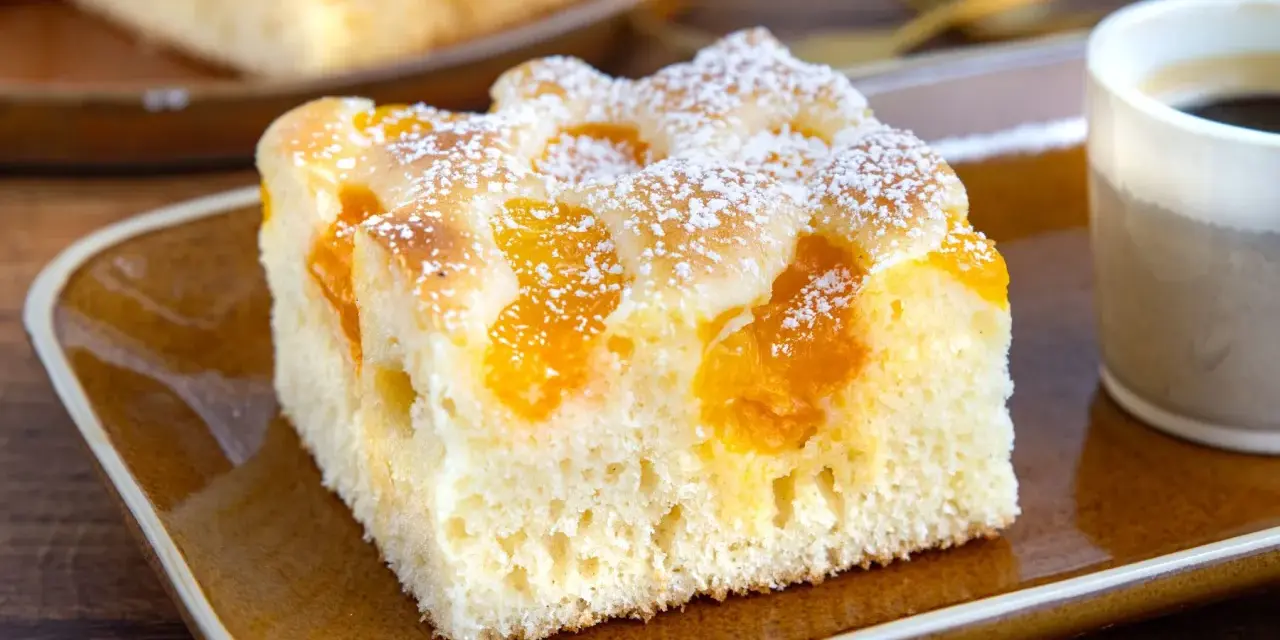 Saftiger Buttermilchkuchen mit Mandarinen, bestäubt mit Puderzucker, auf einem braunen Teller neben einer Tasse Kaffee.