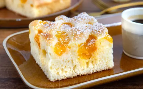 Saftiger Buttermilchkuchen mit Mandarinen, bestäubt mit Puderzucker, auf einem braunen Teller neben einer Tasse Kaffee.