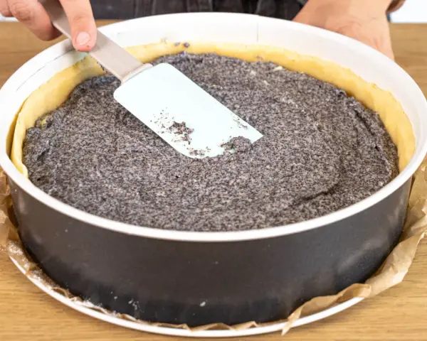 Ein Mohnkuchen mit Puddingfüllung wird in einer Springform vorbereitet. Eine Hand glättet die Mohnmasse mit einem Spatel.
