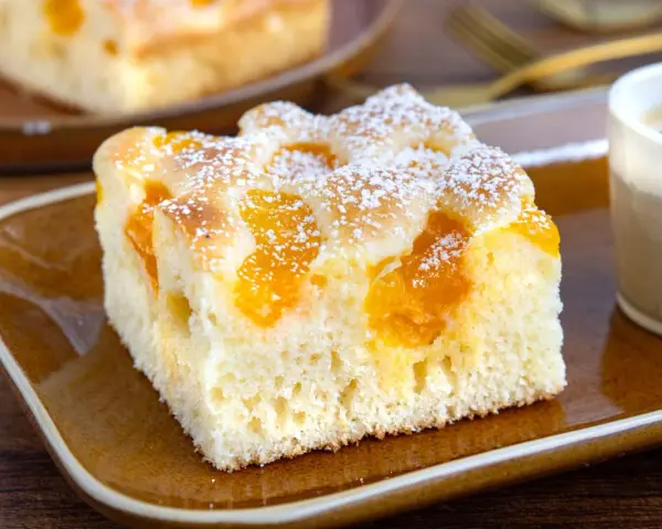 Saftiger Buttermilchkuchen mit Mandarinen, bestäubt mit Puderzucker, auf einem braunen Teller neben einer Tasse Kaffee.