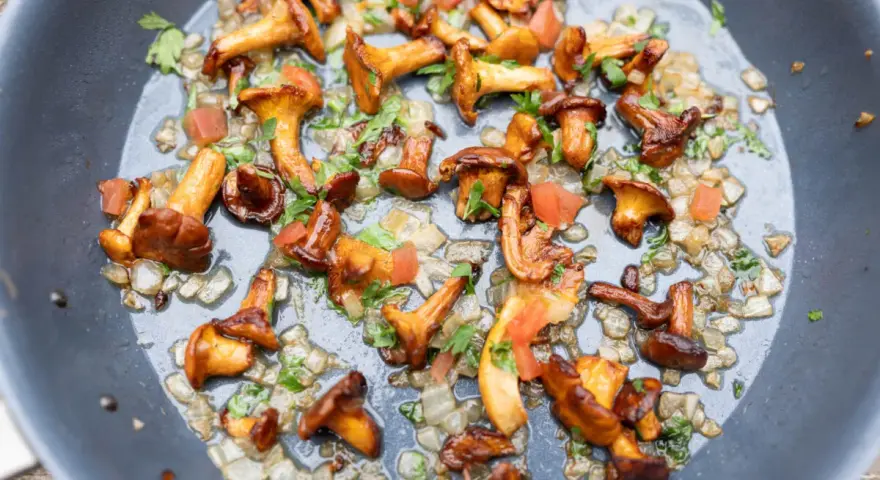 Pfifferlinge brutzeln in der Pfanne mit Zwiebeln und Kräutern. Ein leckeres Gericht, das Lust auf mehr Pfifferlinge Rezepte macht.
