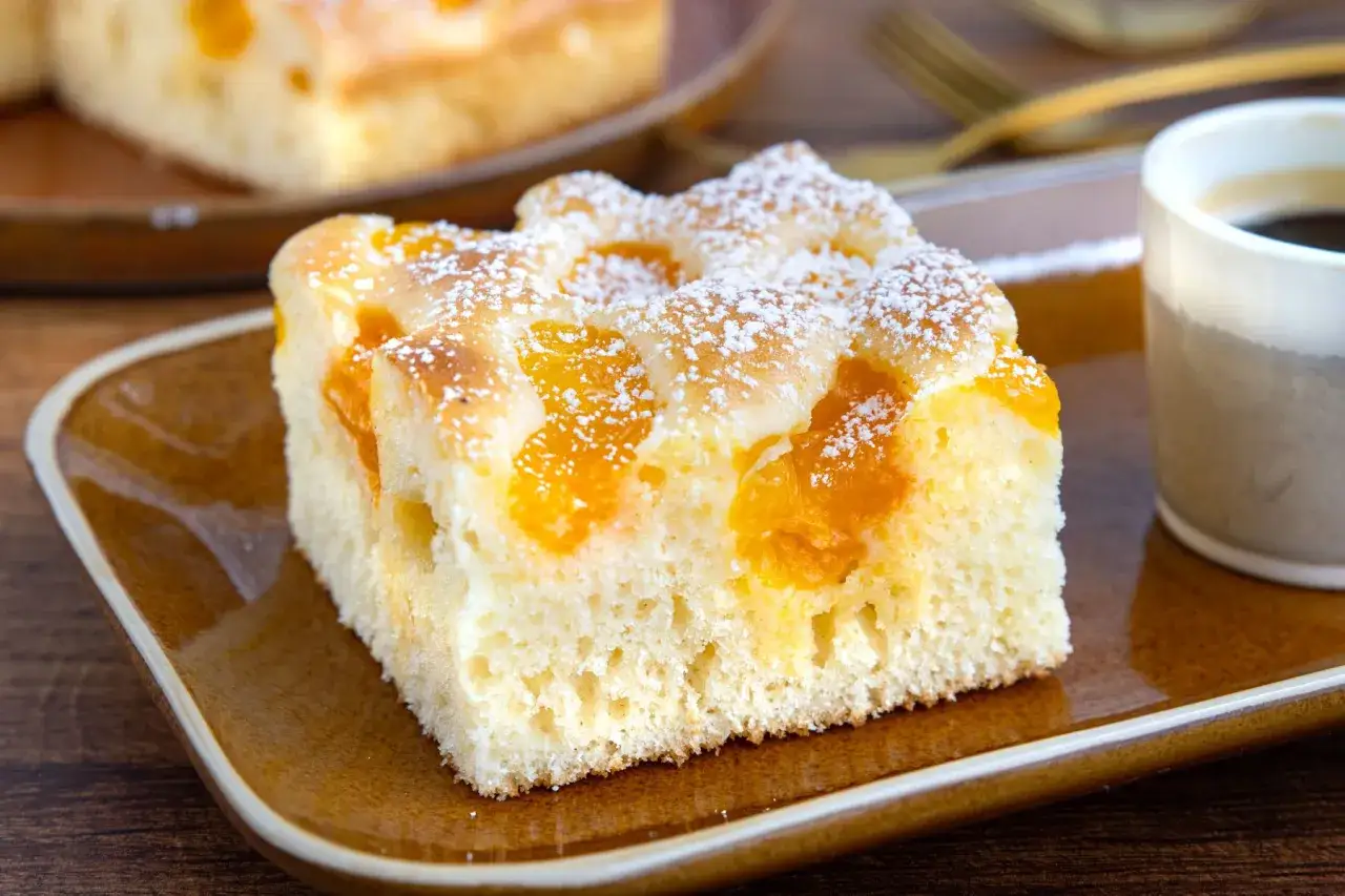 Saftiger Buttermilchkuchen mit Mandarinen, best&auml;ubt mit Puderzucker, auf einem braunen Teller neben einer Tasse Kaffee.